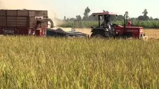 Swaraj 855 with straw reaper and paddy chopper