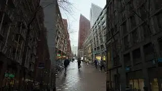 Гаага (Den Haag) в Нидерландах