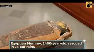 2400 year old mummy pulled out after 130 years