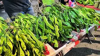 Ipoh Night Market Street Food Malaysia 2022