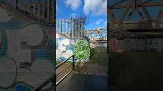 Graffiti Duck In The Park! 🦆