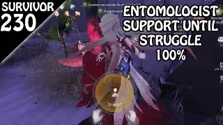 Best Entomologist Support - Survivor Rank #230 (Identity v)