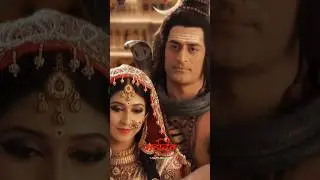 shiv Parvati marriage status 🍁 #mahdev_status #mahadev #mahashivratri #shorts #viral