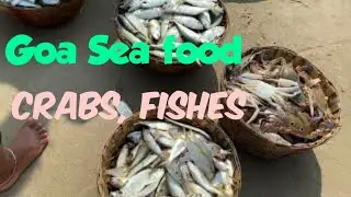 GOA VLOG - Part 7| *Benaulim Beach*| South GOA|GOA Madness - 2021
