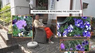 Spring Garden/Refresh and Maintain Front Containers