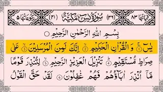 Surah Yasin (سورة يس)Surah Rahman (سورة الرحمن) |Full with Arabic Text।Sheikh Alaa Aqe।Ep02