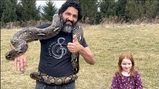 Pythons BIG and small | Rare & Beautiful - Episode 45