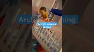 Barbie Dolls- one year olds morning routine!