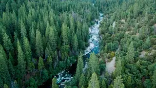 Dorrington Realty Live Stream