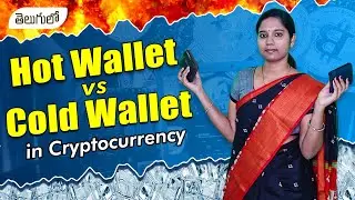 Difference Between Hot Wallet And Cold Wallet || Crypto Currency ||Bitcoin ||Money Torch ||CA Naveen