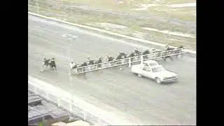 EPR December 15 1984