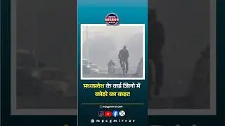 MP Weather: नौगांव 2.5&deg;C!  कोहरे ने रोकी रफ़्तार | Trains Late | Bhopal-Indore Fog Alert