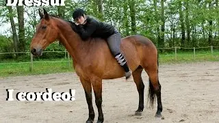 Dressage in Cordeo.