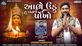 આભે ઉડુ તુ બનજે પોખો | Aabhe Udu Tu Banje Ponkho | Vishnu Vadhiyar | New Gujarati Song 2026