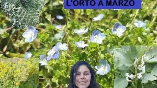 Cosa fare nell'orto a MARZO