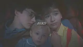 the baudelaires // bird