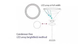 Dual Illumination Fourier Modulation Microscopy - Video 1 - 15:26 mins