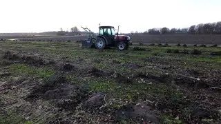 how to clear a field after it has been used for appletrees