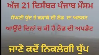 Today 21 december punjab weather cold day and dense fog alert ⚠️
