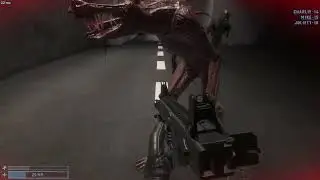 SCP SL 1 Round Clip