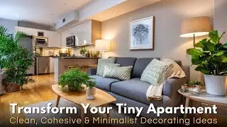 Tiny Apartments in NYC, Spacious Style Cohesive Decorating Tips for Minimalist Spaces