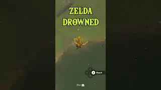 Zelda Drowned?! 💧 #zelda #tearsofthekingdom #randomizer