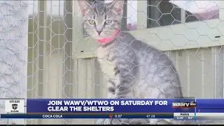 Join WAWV/WTWO on saturday for clear the shelters