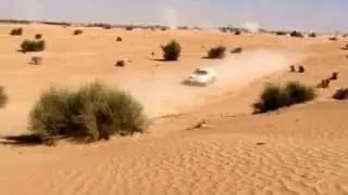 Emirates Desert Champoinship. VVi Rally Team. Training & race.