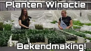 Aquaflora WINACTIE uitslag! //Nickey//