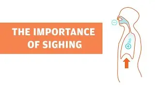 The Importance of Sighing