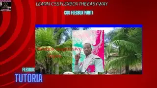 css flexbox tutoria