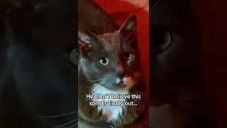 Song:Welcome to the Show Artist:GrownUnknown #newsong #newartist #newmusic #cat
