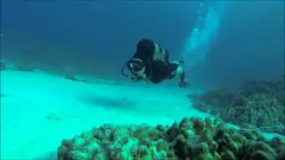 Experimental SCUBA - Swim by Static Camera