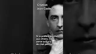 Si je pr&eacute;f&egrave;re les chats aux chiens... / Jean Cocteau #citation#Cocteau #chat #chien