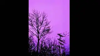 [FREE] - Cinema - Pop / Hip - Hop Beat