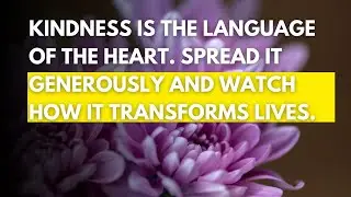 Kindness is the language of the heart. Spread it generously and watch how it transforms lives.