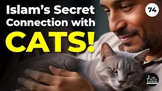 What Makes Cats Special in Islam?
