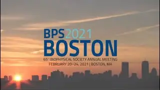 Biophysical Society Annual Meeting 2021