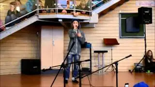 julshowen 2013