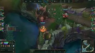 dgodd udyr