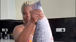 One of the biggest fish we have over here in India 🇮🇳