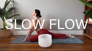 30 Minute Slow Flow Yoga | Somatic Movement