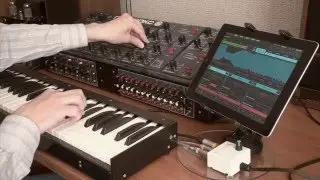 Polivoks synth and FieldScaper app sound and noodling demo