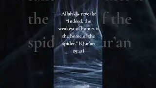 Why the Qur&rsquo;an Called the Spider&rsquo;s Home the Weakest 🕷️📖✨