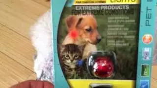 Adventure Lights Small Dog Light | Best Small Dog Light | KeepDoggieSafe