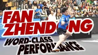 Fan Zhendong in Focus | World-Class Performance | Slow Motion