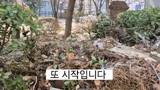 꽁꽁 얼어붙은 땅을 꼭 파헤쳐야만 될까요