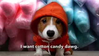 I Want Cotton Candy Dawg