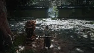 Black Myth: Wukong Hundred-eyes Davos 🔥