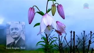 Protected Areas of Manipur    the Wilderness Unexplored